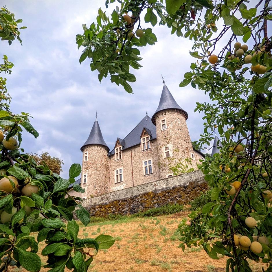 Château de Picomtal 